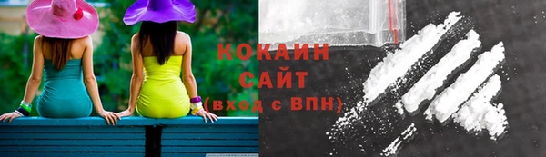 МДПВ Богородицк