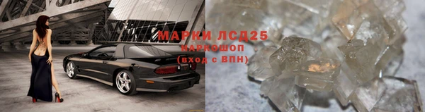 стафф Снежногорск