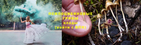 a pvp Богданович