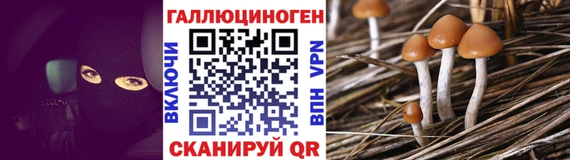 Галлюциногенные грибы Cubensis  Тула 